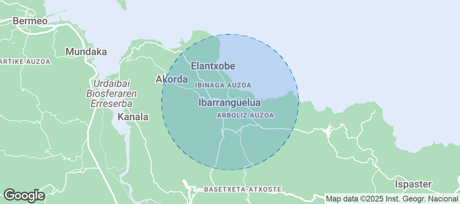 Discover Ibarrangelu Airbnb Analytics